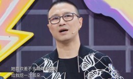 刘一飞爆料汪峰图文视频,刘一飞揭露汪峰图文视频背后的真相